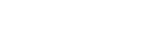 Burger Don